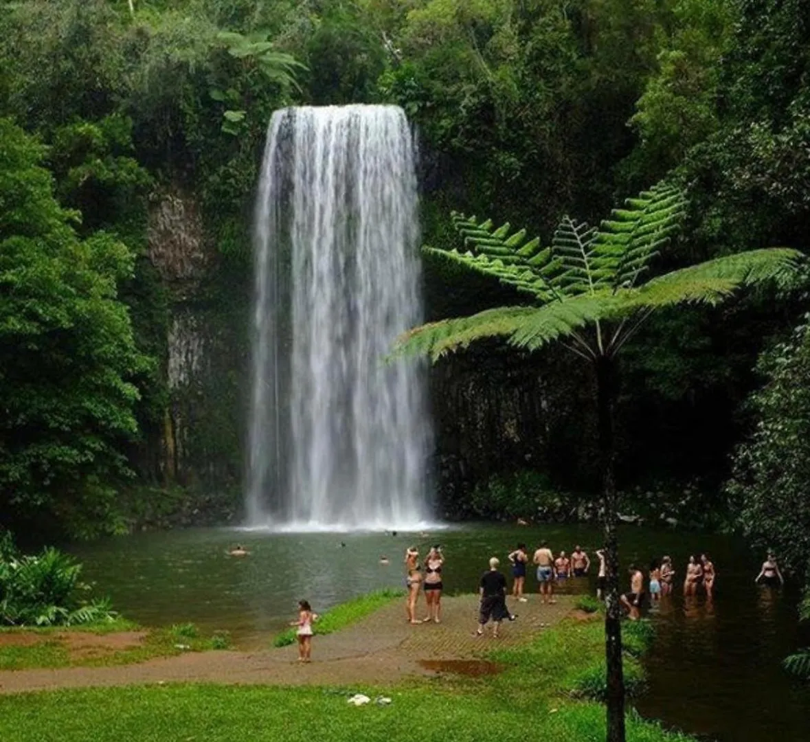 The Falls Teahouse Millaa Millaa 0*,  Australia